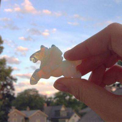 365在线下载手机版